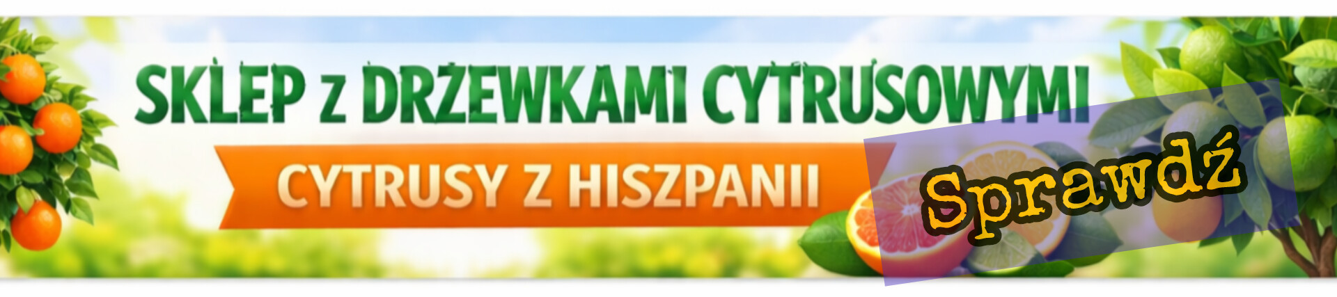 Drzewka cytrusowe – Palmowy Ogród